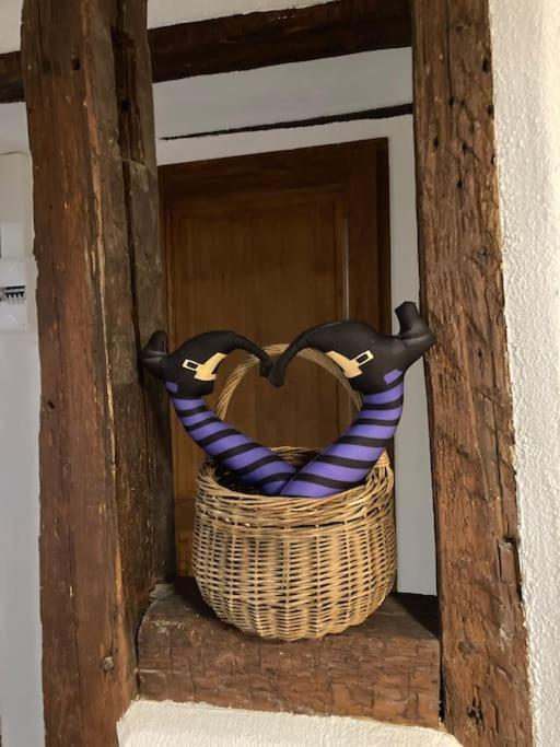 La Sorciere In A Typical Alsatian House Lägenhet Rouffach Exteriör bild