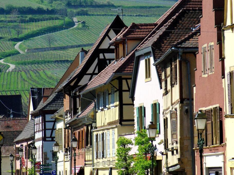 La Sorciere In A Typical Alsatian House Lägenhet Rouffach Exteriör bild